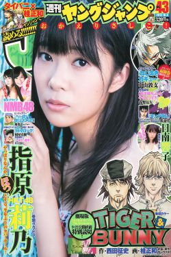 苦苣菜