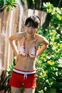 非缘勿扰电视剧