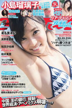 辛巴狮子王